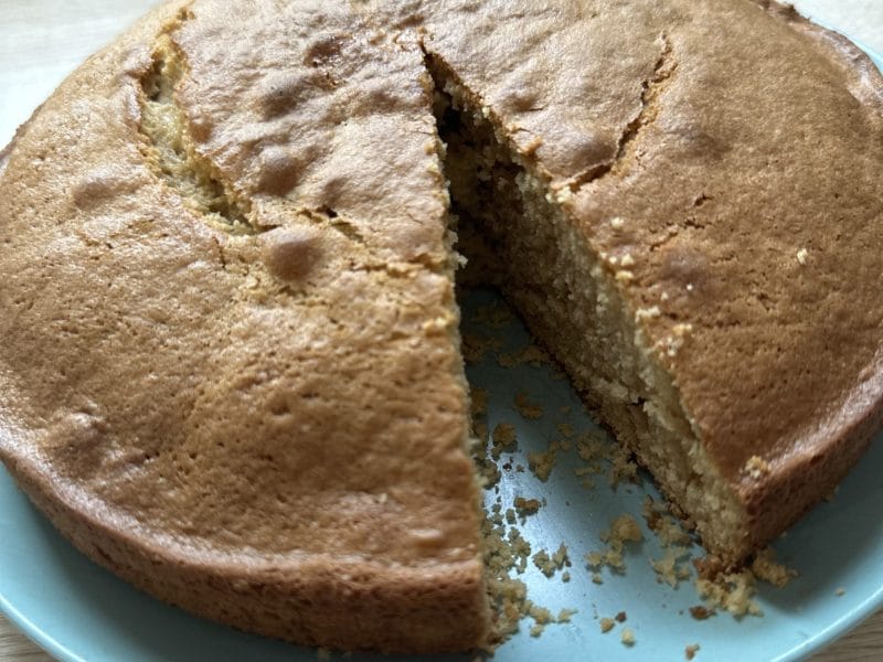 Cliquez pour zoomer ! Le gâteau suédois de Castor Thermomix par PitiGateauSec