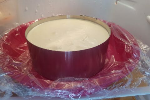 Cliquez pour zoomer ! Mini cheesecakes au citron vert Thermomix par ninata_1