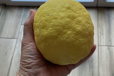 Cliquez pour zoomer ! Gelée de citrons Thermomix par norox34