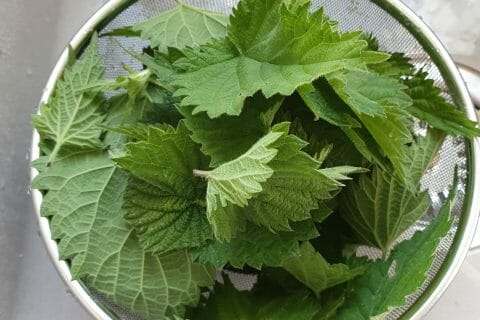 Cliquez pour zoomer ! Soupe d’orties Thermomix par stephi7289