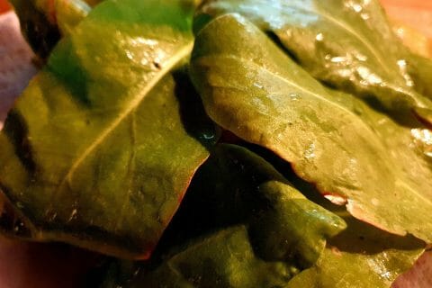 Cliquez pour zoomer ! Velouté à l’oseille Thermomix par stephi7289