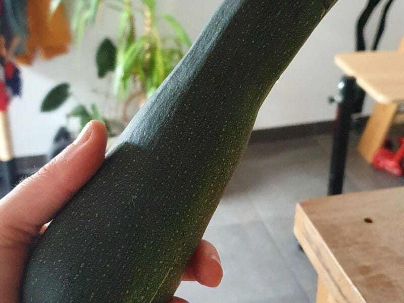 Cliquez pour zoomer ! Timbales de courgettes et saumon fumé Thermomix par stephi7289