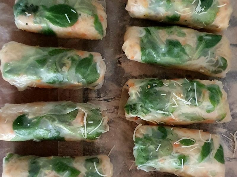 Cliquez pour zoomer ! Rouleaux de printemps Thermomix par stephi7289