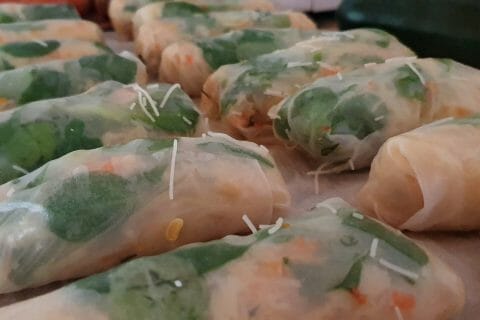 Cliquez pour zoomer ! Rouleaux de printemps Thermomix par stephi7289