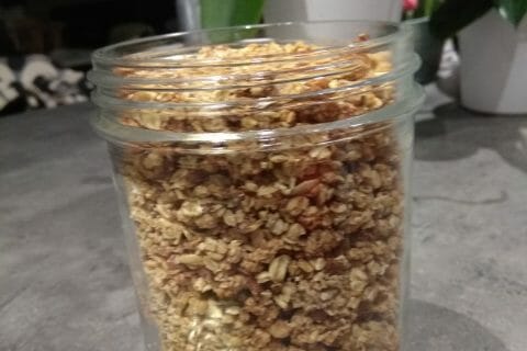 Cliquez pour zoomer ! Granola dattes et banane Thermomix par maelle_ker