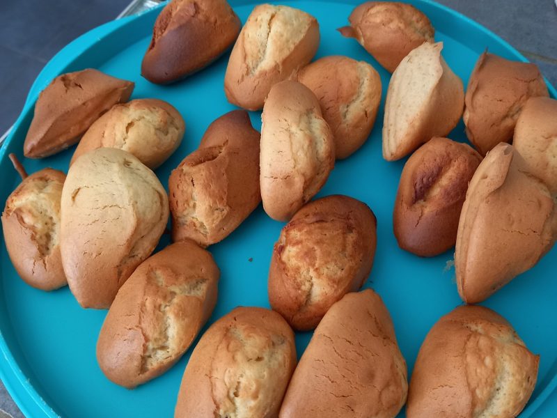 Cliquez pour zoomer ! Madeleines Thermomix par mlaurejaco