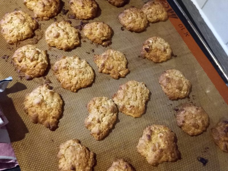 Cliquez pour zoomer ! Biscuits cacahuètes et flocons d’avoine Thermomix par mlaurejaco
