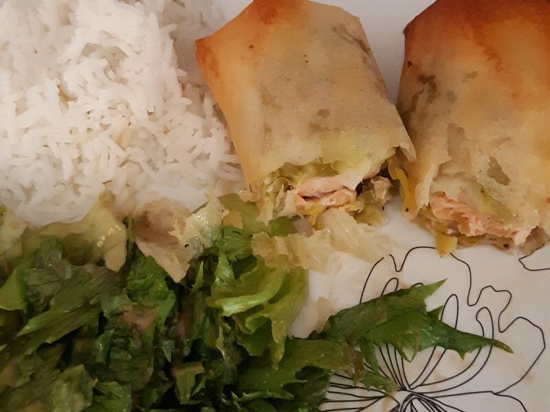 Cliquez pour zoomer ! Brick de saumon et poireaux Thermomix par milochette2000