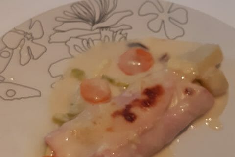 Cliquez pour zoomer ! Roulés gratinés de jambon aux légumes Thermomix par milochette2000