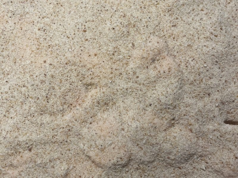 Cliquez pour zoomer ! Salade aubergines, courgettes et tomates Thermomix par mag2677