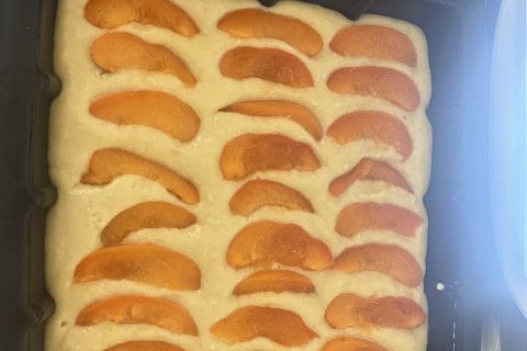 Cliquez pour zoomer ! Gâteau moelleux aux abricots Thermomix par mag2677