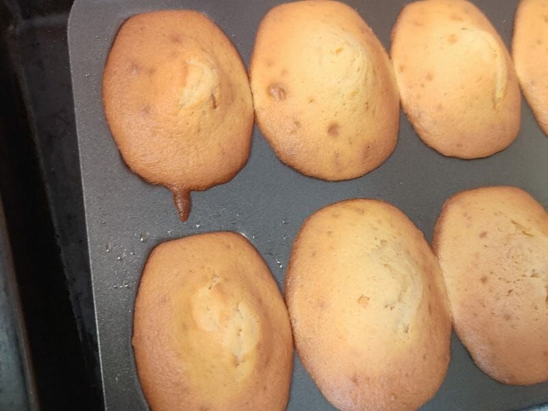 Cliquez pour zoomer ! Madeleines Thermomix par aida_6