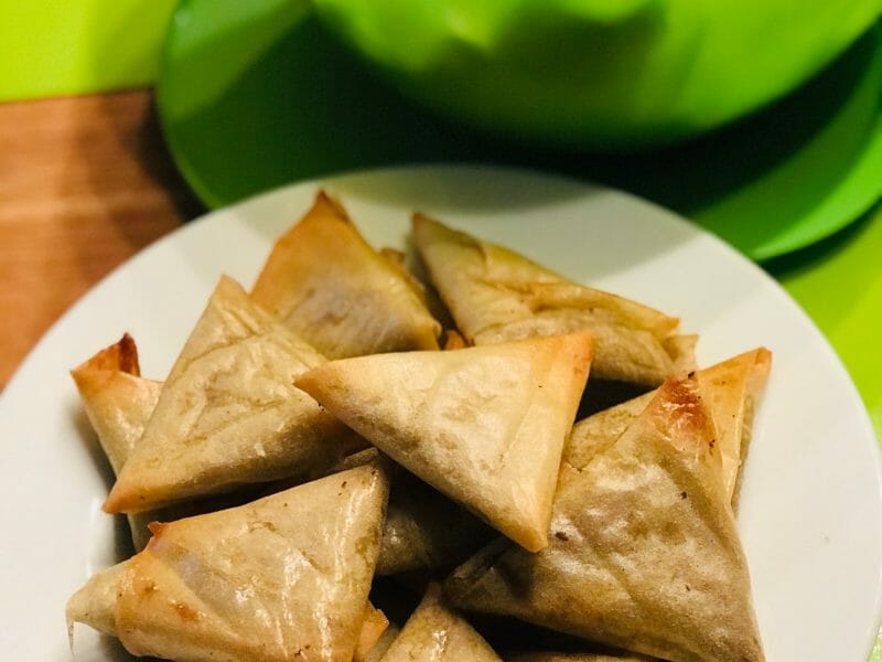 Cliquez pour zoomer ! Samoussa Thermomix par joevenus11