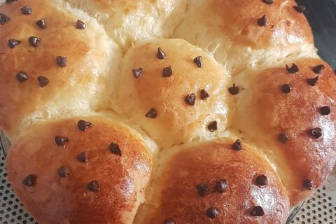 Cliquez pour zoomer ! Brioche Buchty Thermomix par ryams