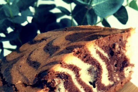 Cliquez pour zoomer ! Gâteau zébré Thermomix par nat2282