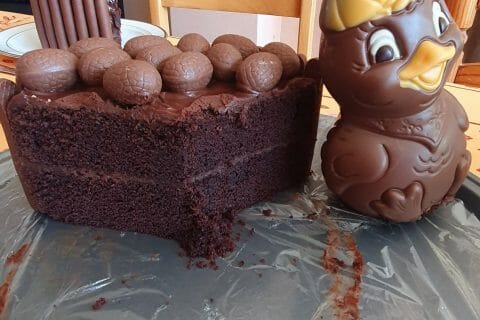 Cliquez pour zoomer ! Gâteau lapin de Pâques Thermomix par lor-ah38