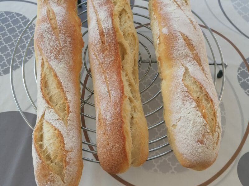 Cliquez pour zoomer ! Baguettes Thermomix par Seve59