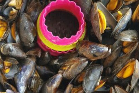 Cliquez pour zoomer ! Screenshot_20201013-032749_Cookomix