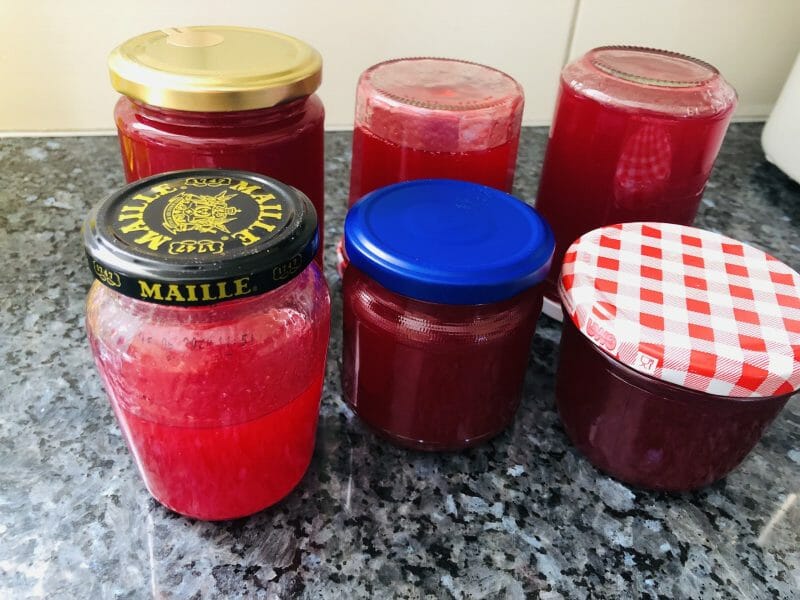 Cliquez pour zoomer ! Gelée de groseilles Thermomix par Chris