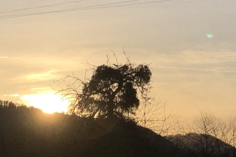 Cliquez pour zoomer ! Photo de Chris