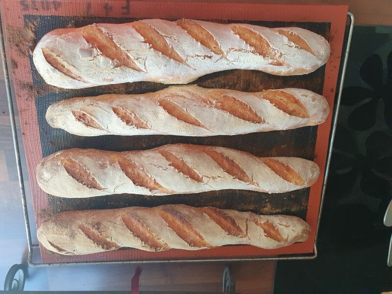 Cliquez pour zoomer ! Baguettes Thermomix par Miliesanc