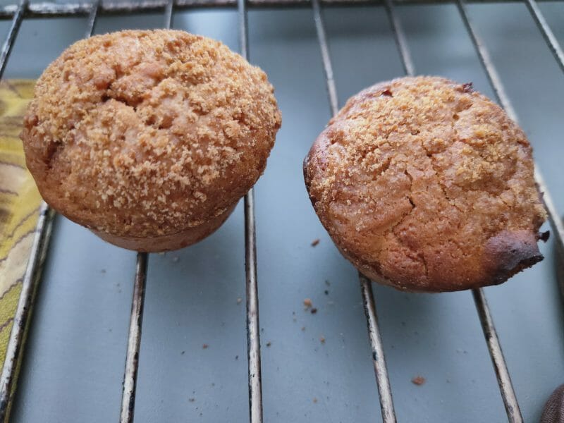 Cliquez pour zoomer ! Magdalenas – Madeleines espagnoles Thermomix par lluzie