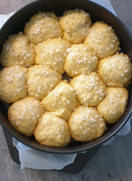 Cliquez pour zoomer ! Brioche Buchty Thermomix par Zabounette49