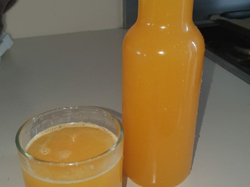 Cliquez pour zoomer ! Jus de fruits ACE Thermomix par isabelle_mig