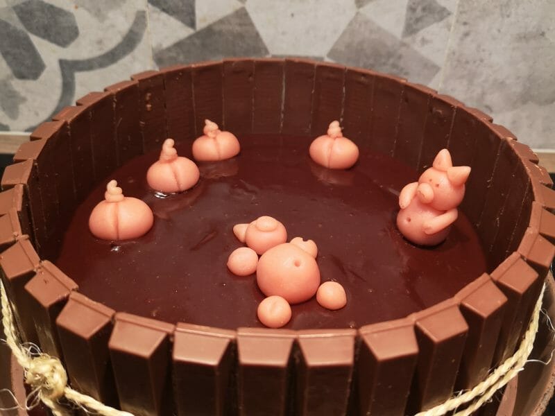 Cliquez pour zoomer ! La mare aux cochons Thermomix par maribo92