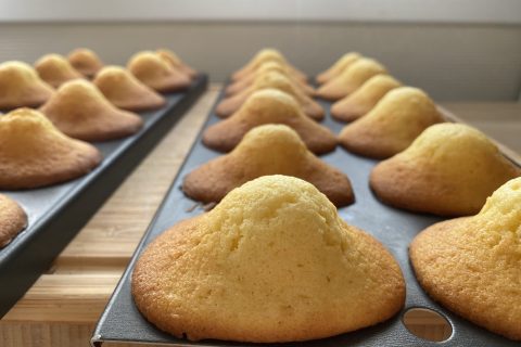 Cliquez pour zoomer ! Madeleines Thermomix par jusebi