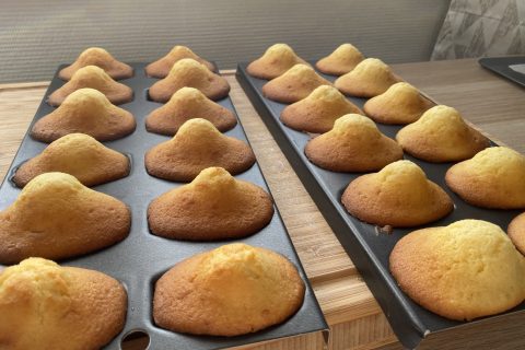 Cliquez pour zoomer ! Madeleines Thermomix par jusebi