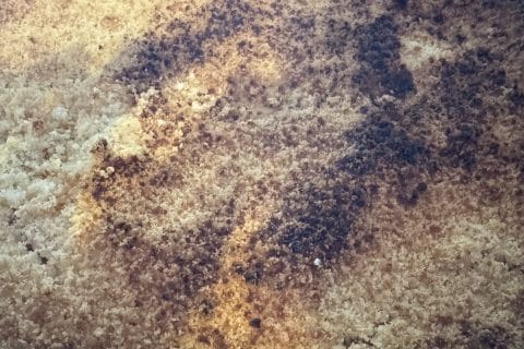 Cliquez pour zoomer ! Crumble aux Pommes Thermomix par tamy_1