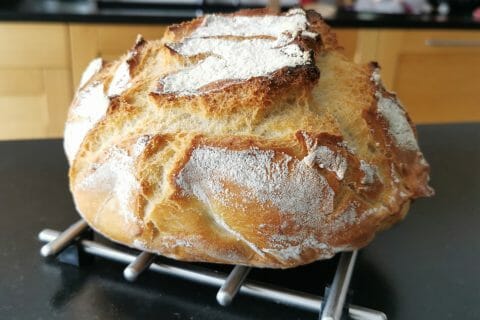 Cliquez pour zoomer ! IMG_20201008_144925