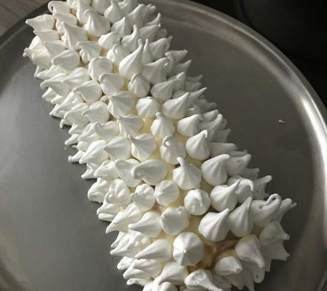 Cliquez pour zoomer ! Bûche au citron meringuée Thermomix par Clo2405