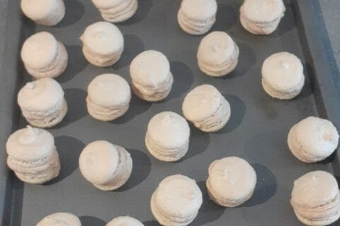 Cliquez pour zoomer ! Macarons salés au foie gras Thermomix par celimen54