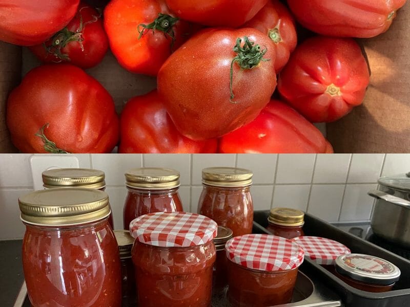 Cliquez pour zoomer ! Coulis de tomates Thermomix par catt007