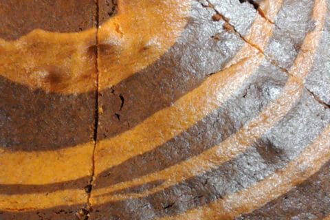 Cliquez pour zoomer ! Gâteau zébré Thermomix par Nubia