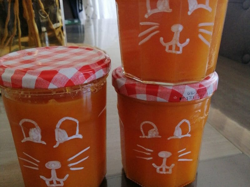 Cliquez pour zoomer ! Confiture du lapin Thermomix par titiar74