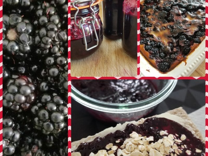 Cliquez pour zoomer ! Confiture de mûres Thermomix par marie-eric