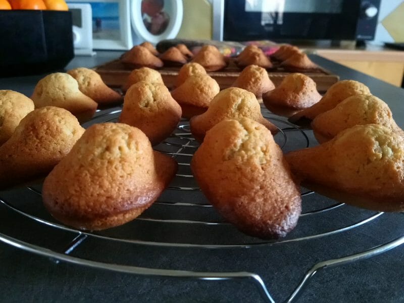 Cliquez pour zoomer ! Madeleines Thermomix par sandrapatiss