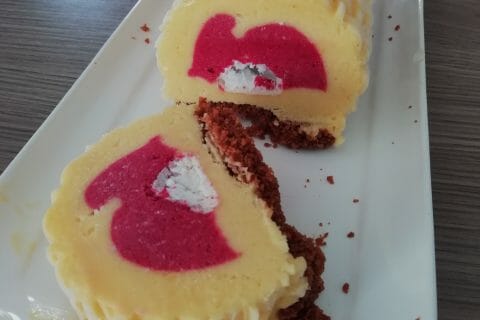 Cliquez pour zoomer ! Bûche glacée mangue et framboise Thermomix par Lucie3349