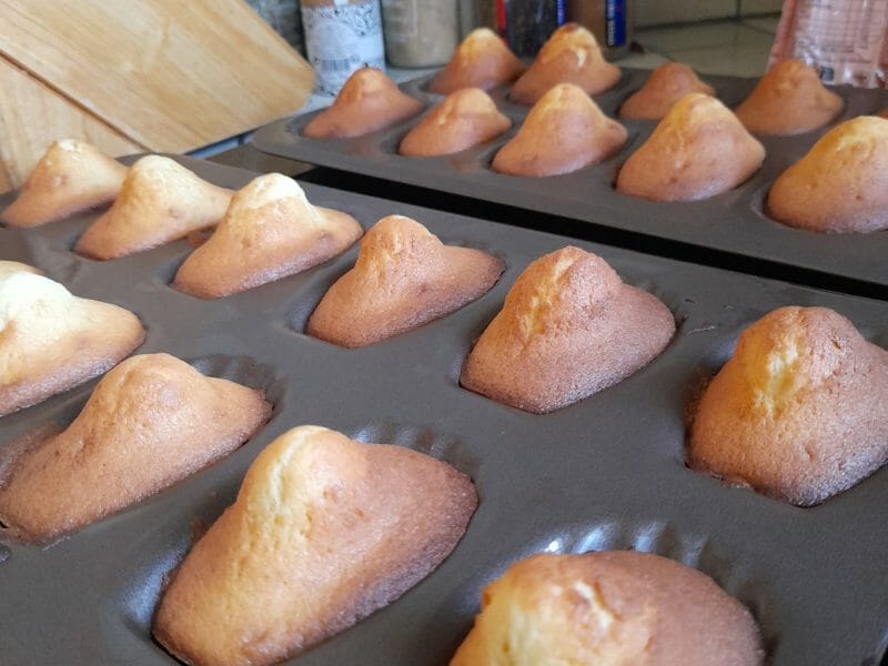 Cliquez pour zoomer ! Madeleines Thermomix par Sophie35