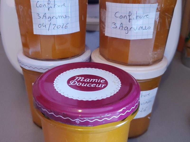 Cliquez pour zoomer ! Confiture aux 3 agrumes Thermomix par maga9