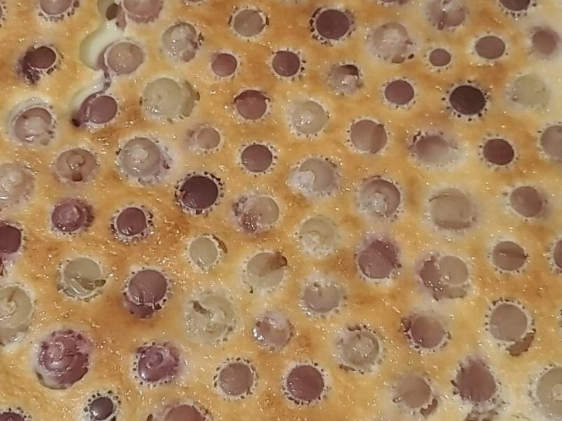 Cliquez pour zoomer ! Clafoutis aux raisins frais Thermomix par maga9