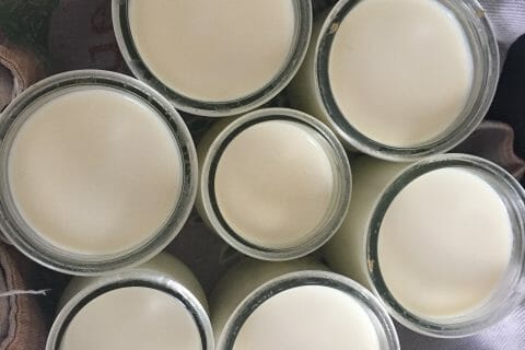 Cliquez pour zoomer ! Yaourt au Varoma Thermomix par SCSC