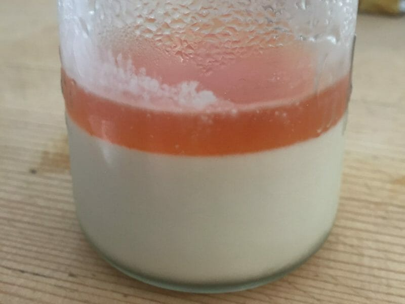 Cliquez pour zoomer ! Panna cotta au sirop de pamplemousse Thermomix par SCSC