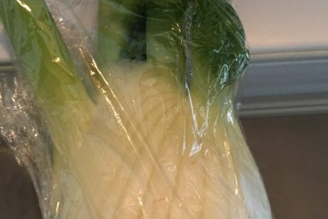 Cliquez pour zoomer ! Tarte au fenouil et saumon Thermomix par SCSC