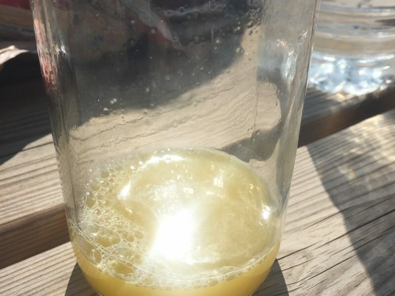 Cliquez pour zoomer ! Orangina maison Thermomix par SCSC