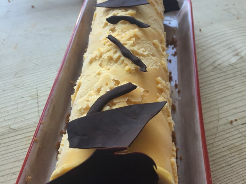 Cliquez pour zoomer ! Bûche glacée mangue et framboise Thermomix par SCSC