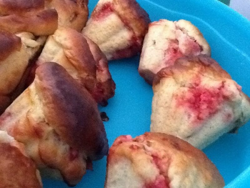 Brioche Aux Pralines Roses Au Thermomix Cookomix